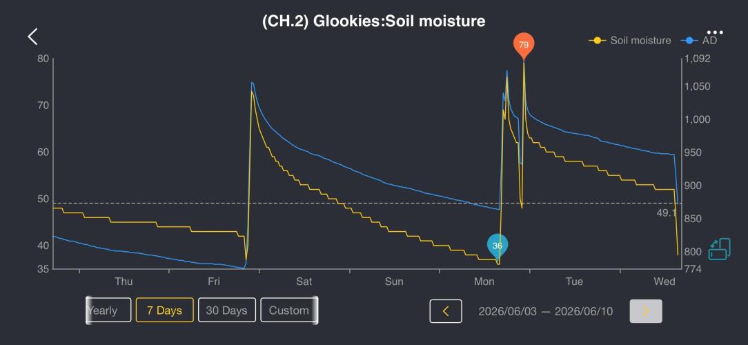 2026 | Glookies | Mystery Seed. Week 4