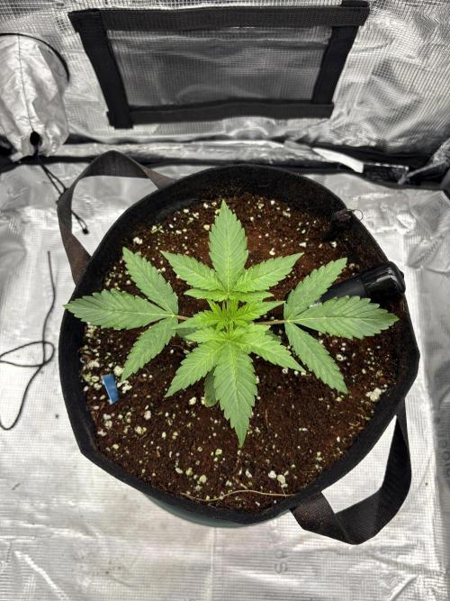 2026 | HEKA. Week 2