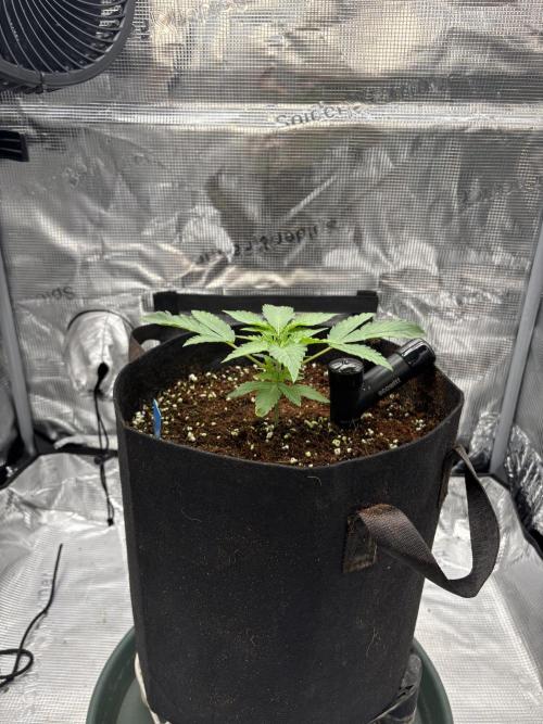 2026 | HEKA. Week 2
