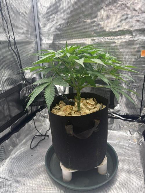 2026 | HEKA. Week 6