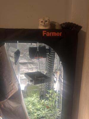 Comment by Horon4ik420 photo #3