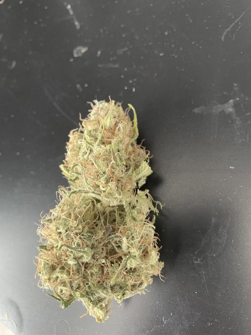 Sour Ripper #1. Week 12