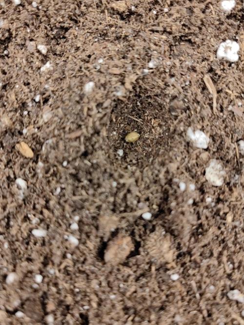 Automatics. Week 0 - 1. Tag :)