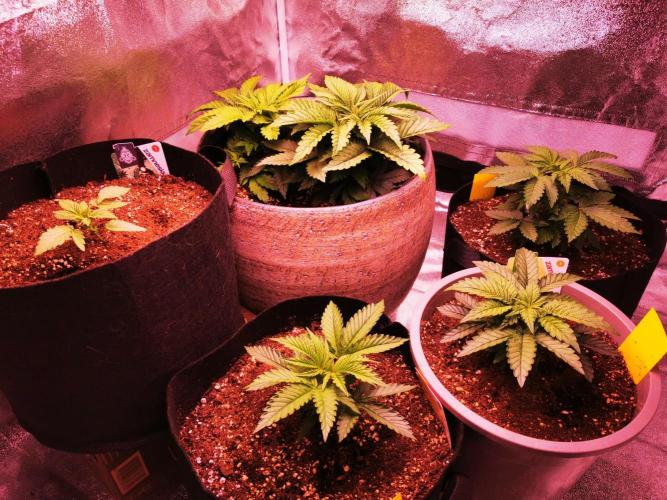 Vergangenes zum gucken :). Week 10