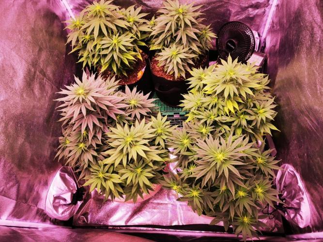 Vergangenes zum gucken :). Week 10
