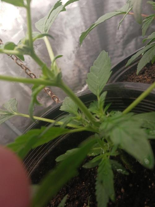 Oops. Week 6