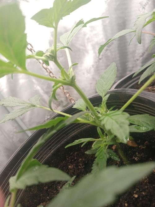 Oops. Week 6