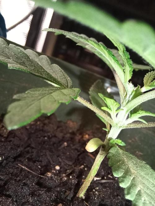 Oops. Week 6