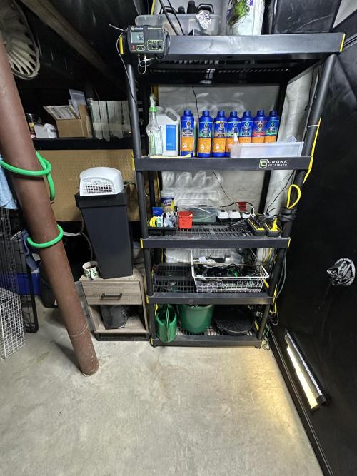 Fastbuds First Run. Week 6