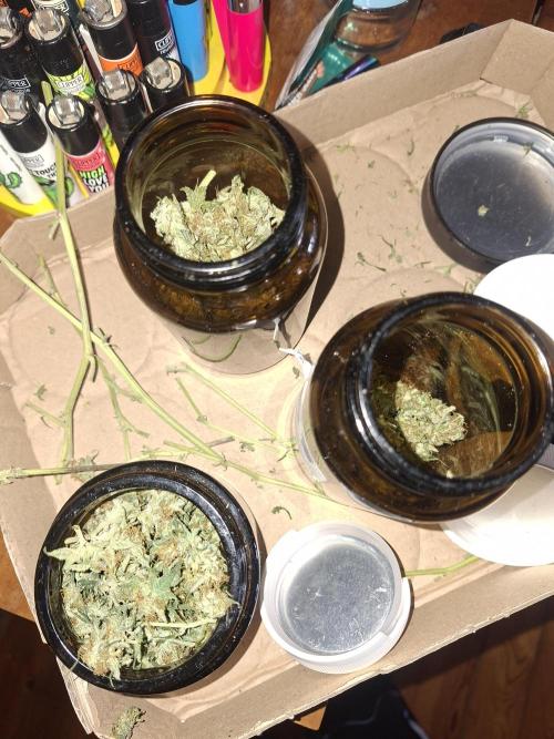 White runtz. Week 8