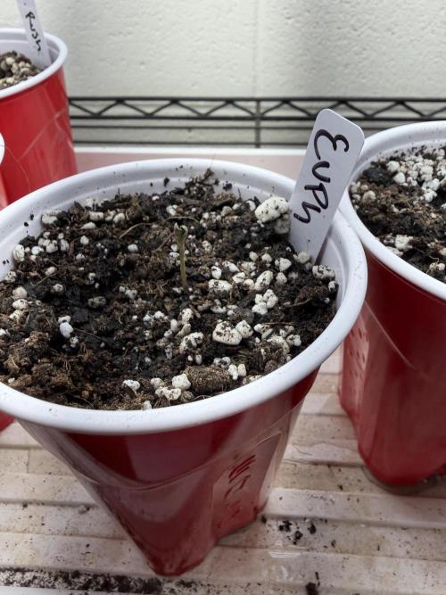 Outdoor In-Ground 2026. Week 3