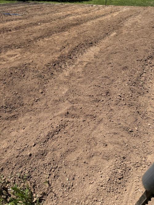 Outdoor In-Ground 2026. Week 5