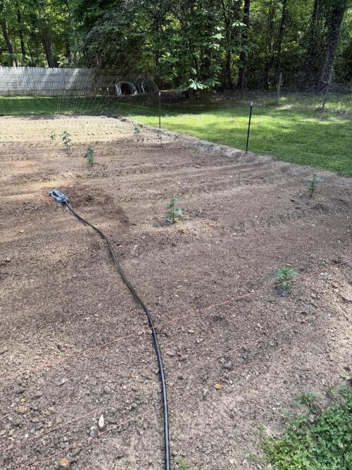 Outdoor In-Ground 2026. Week 6