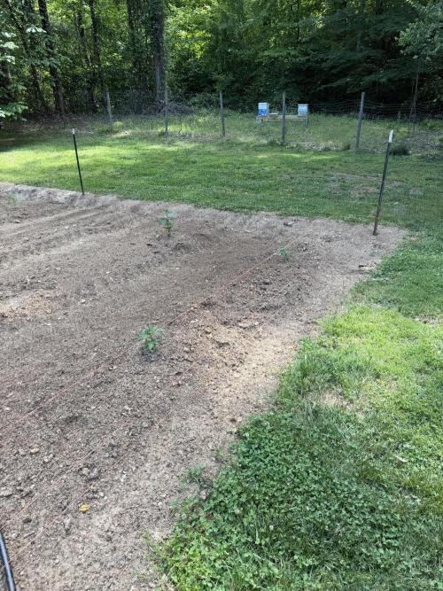 Outdoor In-Ground 2026. Week 6