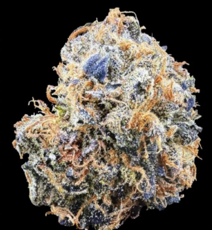 K-MintZ (LOUDA Cut). Week 1