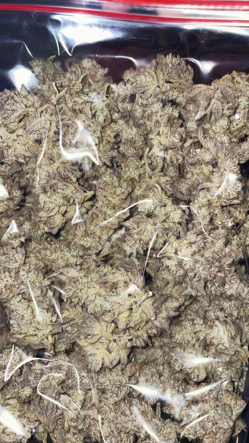 white truffle. Week 12