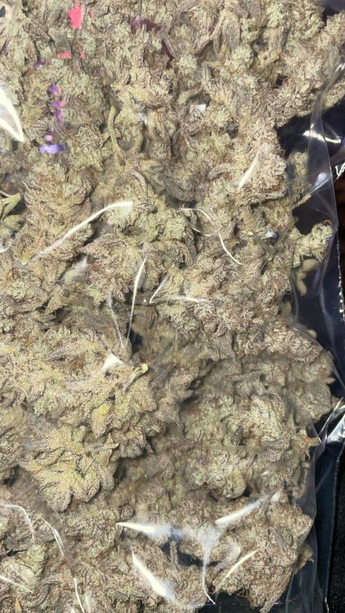 white truffle. Week 12