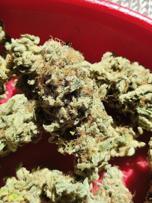 Seasone 2- Hella Jelly. Week 12