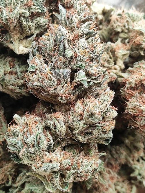 Seasone 2- Hella Jelly. Week 13