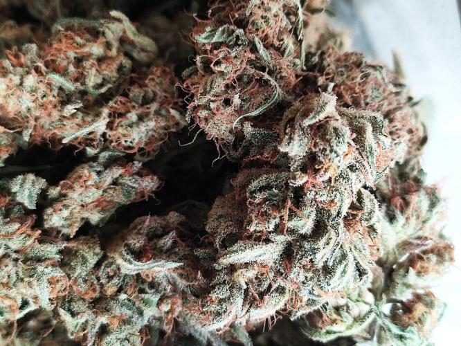 Seasone 2- Hella Jelly. Week 13