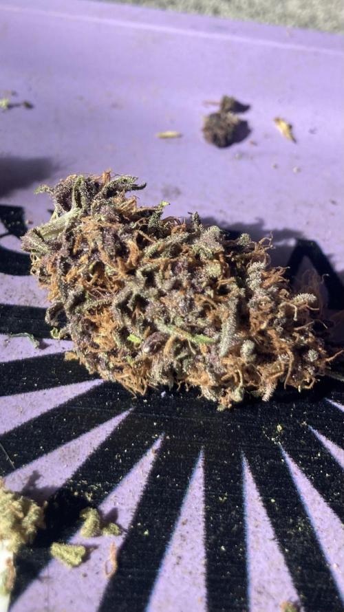 All Gas OG (formerly Asphalt Plant). Week 17