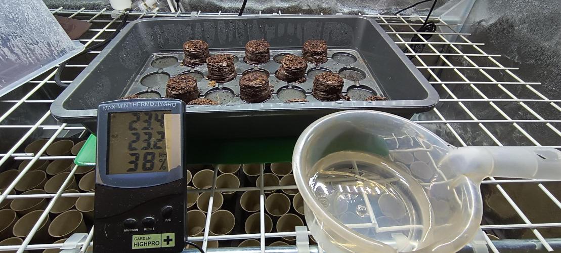 SDRA-CBD. Week 0
