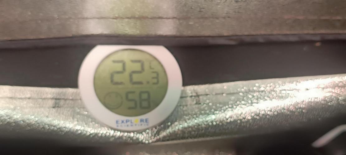 SDRA-CBD. Week 4