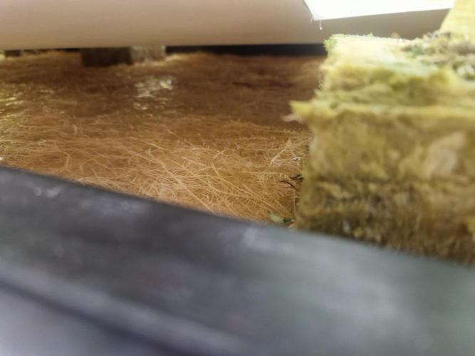 Permanentmarker seedjunky. Week 5 - Nft Methode 