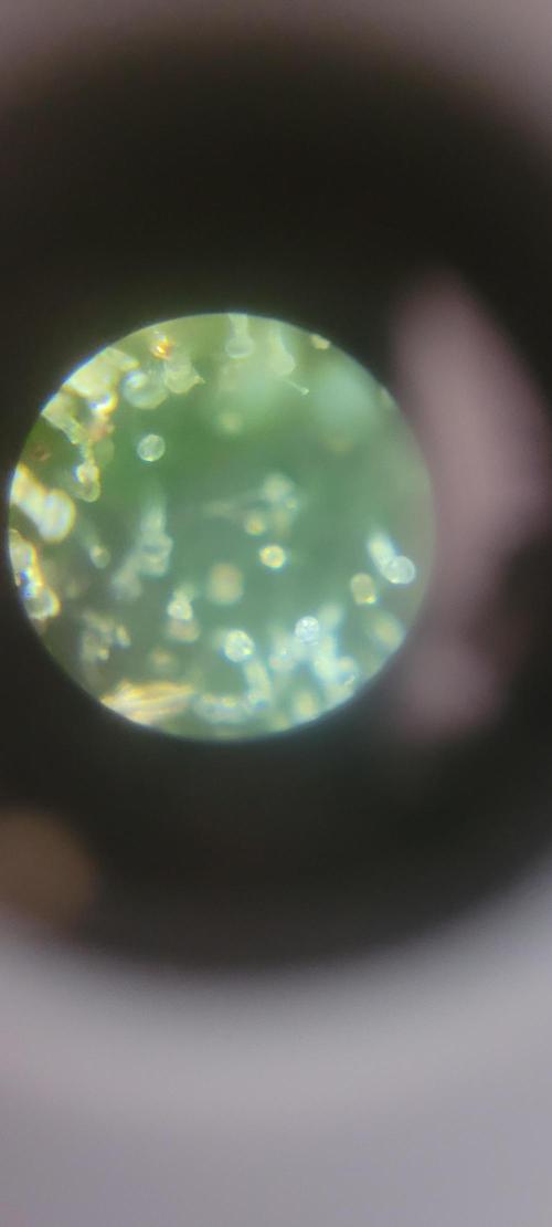 BioBandit's Passion. Week 9 - Super Boof so wie ich das am liebsten habe.
Nichts dem Zufall überlassen.