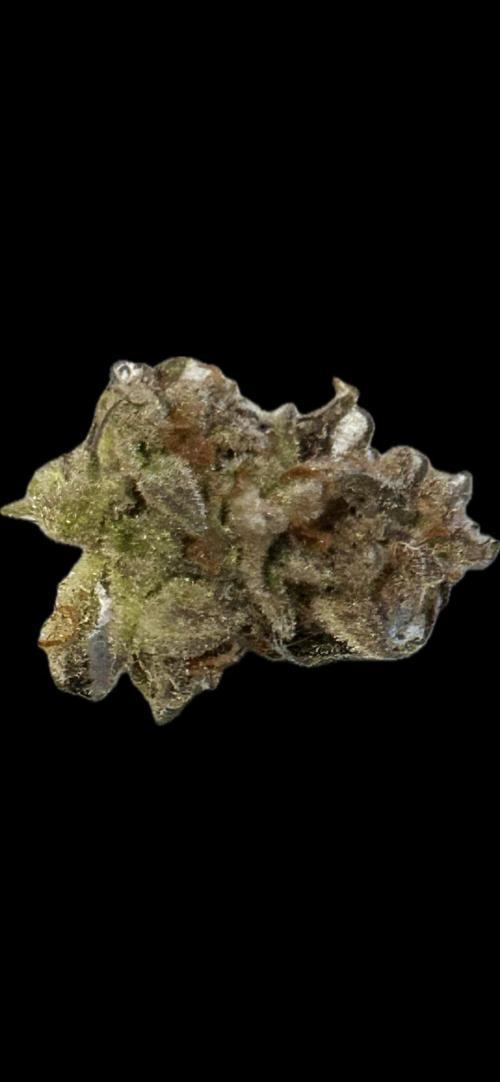 Gelato auto. Week 13