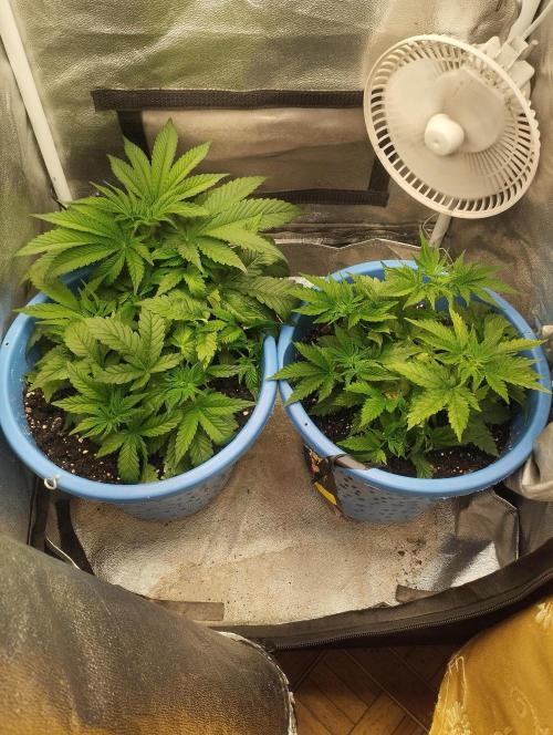 Моя UHTA. Week 3