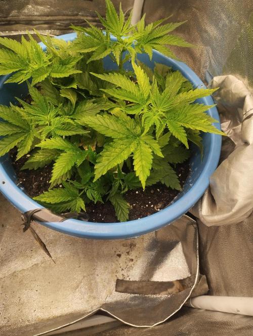 Моя UHTA. Week 3