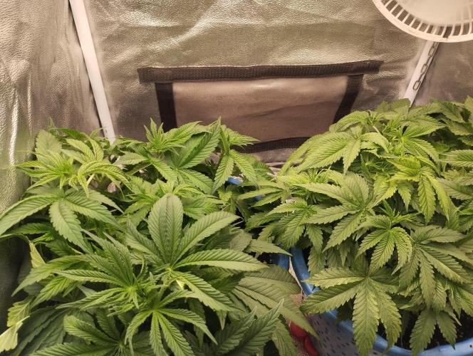 Моя UHTA. Week 4
