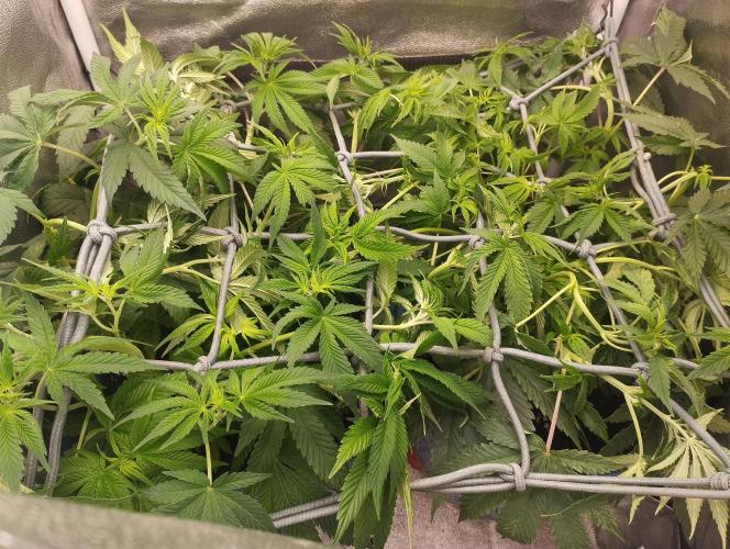 Моя UHTA. Week 5