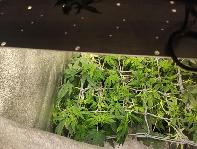 Моя UHTA. Week 5