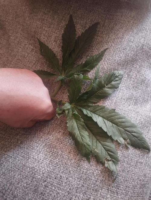 Моя UHTA. Week 5