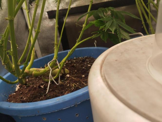 Моя UHTA. Week 6