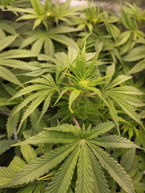 Моя UHTA. Week 6