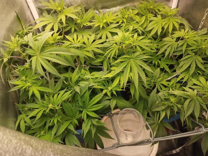 Моя UHTA. Week 6