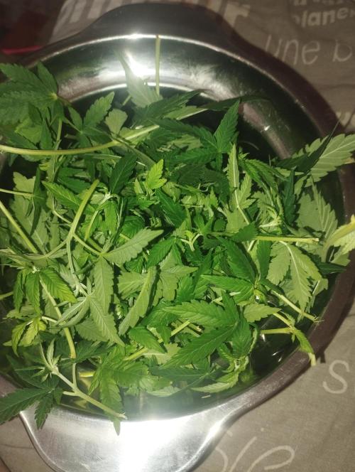 Моя UHTA. Week 6