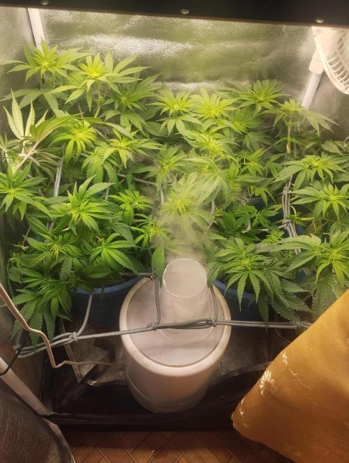 Моя UHTA. Week 6