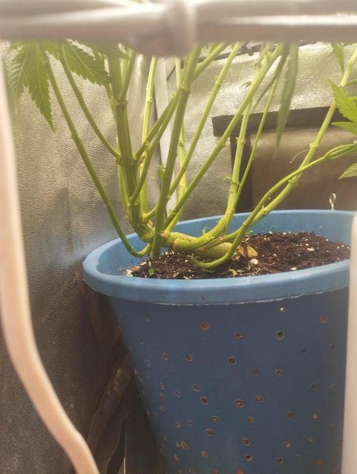 Моя UHTA. Week 6