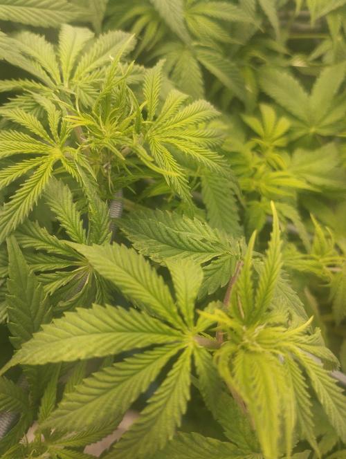 Моя UHTA. Week 6