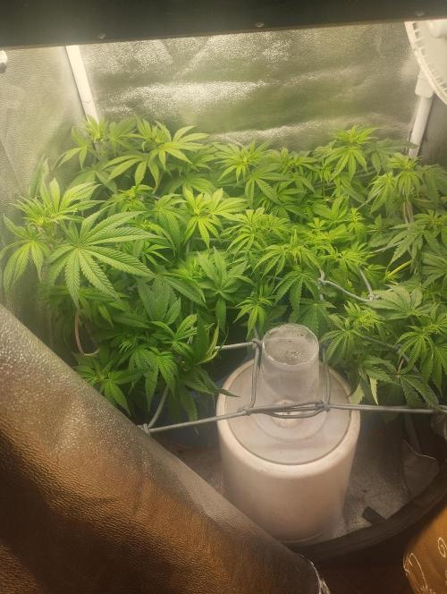 Моя UHTA. Week 6