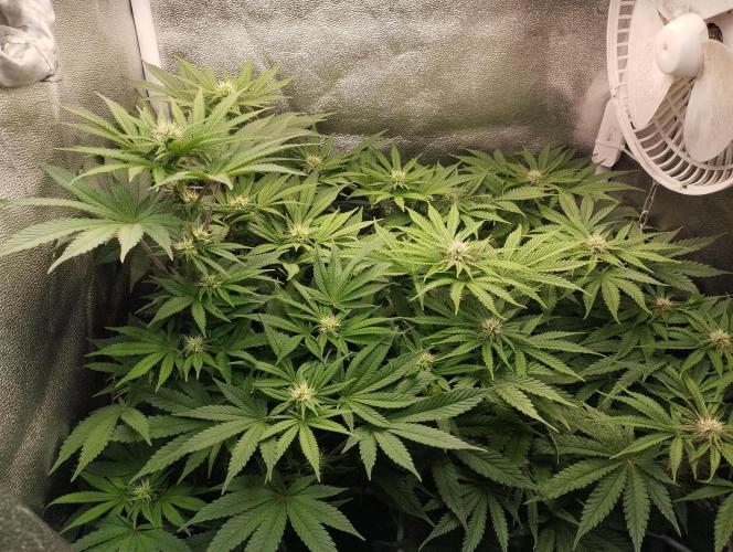 Моя UHTA. Week 7