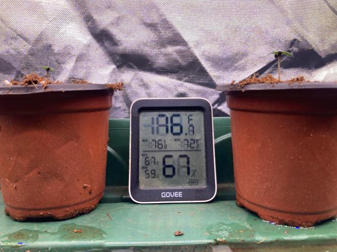 SadBoyFarms Grow Diary #1. Week 1 - set the humidifier to 1.0 kPa and getting good results.