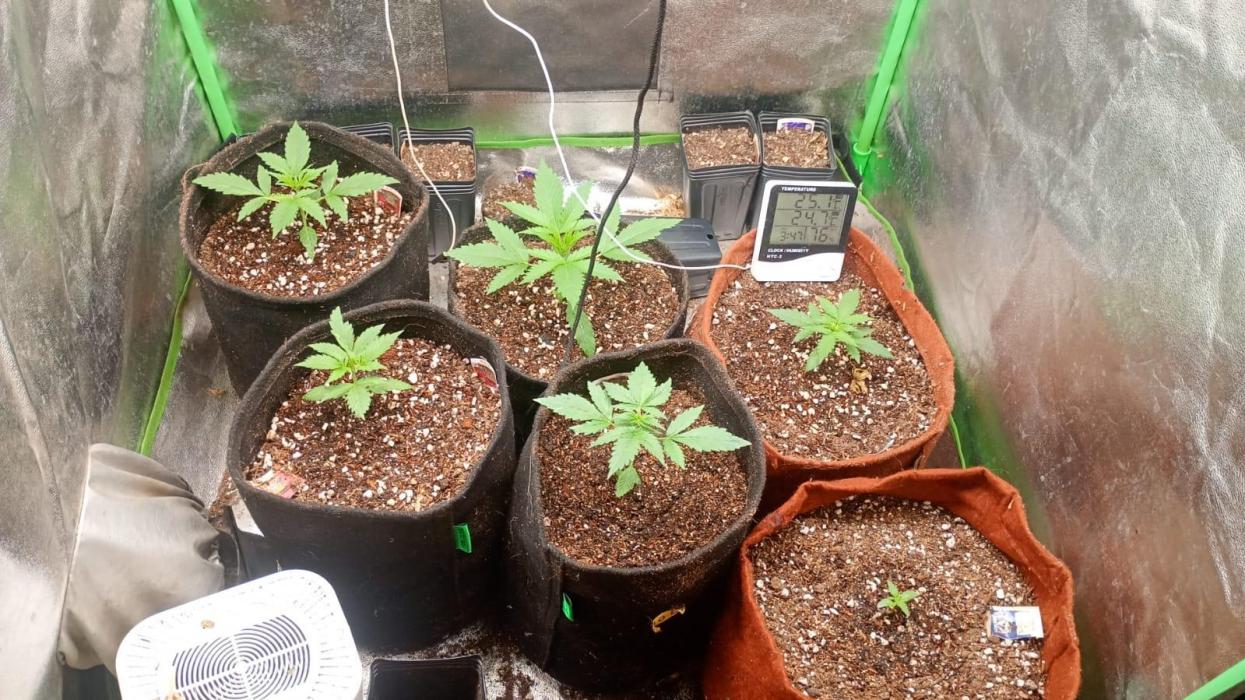 AUtomaticas medicinais. Week 3 - smart one