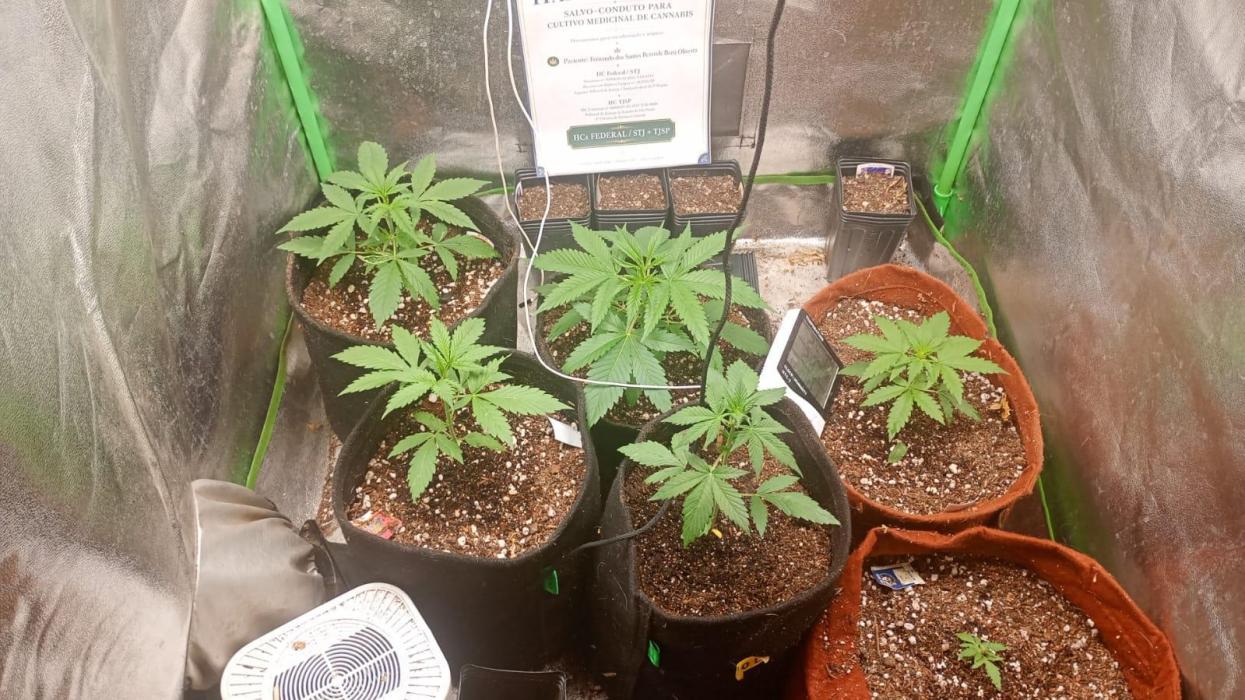 AUtomaticas medicinais. Week 5