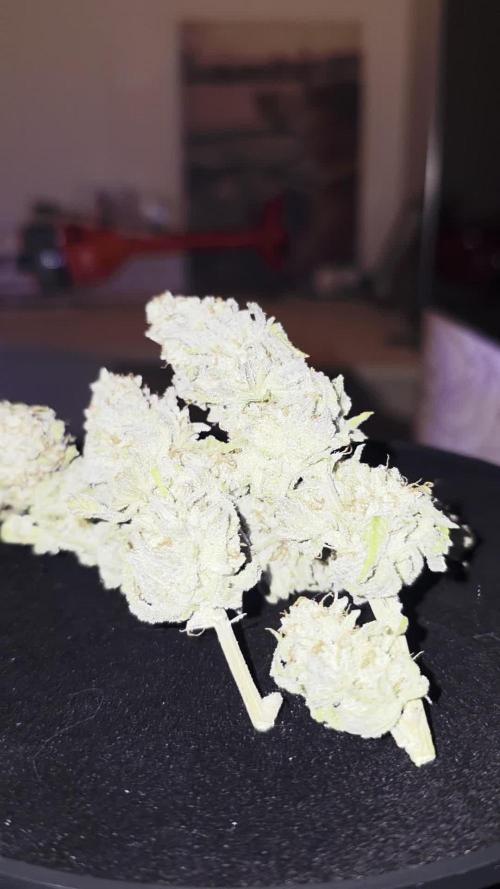 Pineapple Express