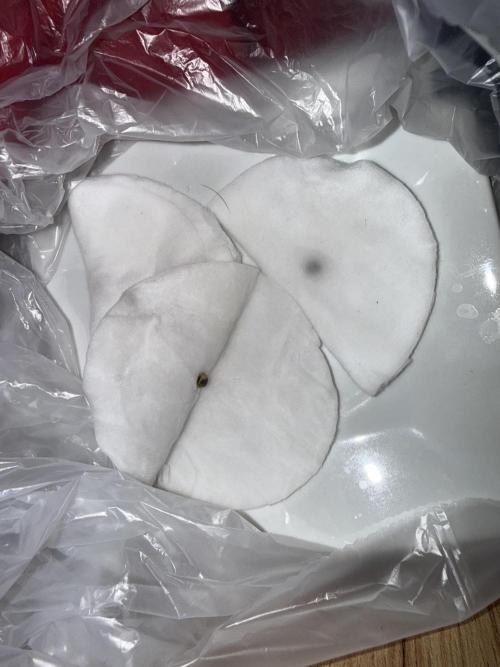 My first indoor grow. Week 0 - 21.2.2026